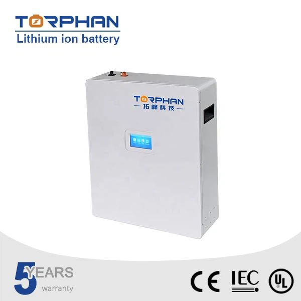 rechargeable lifepo4 batteries